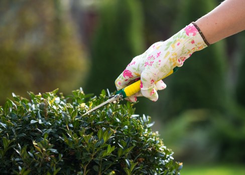 Selective pruning for crown reduction in a Queenspark property