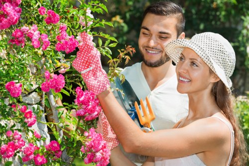 Crown reduction service for a Queenspark residential or commercial site