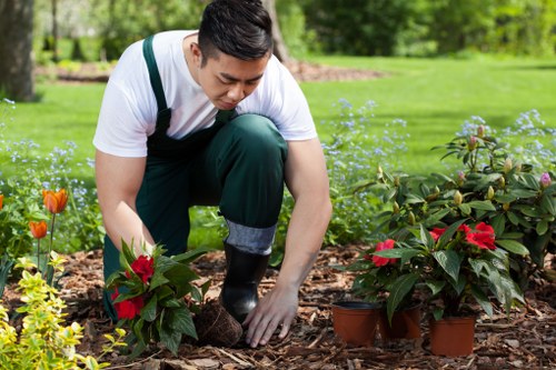 Leadership approving a modern slavery statement for tree surgeons