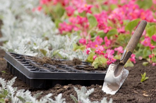 Queenspark hedge cutting service for residential and commercial properties